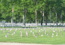 Calverton National Cemetery Honors Fallen Heroes with Flag Placement Tradition on Memorial Day
