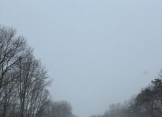 This is How Winter is Supposed to Be