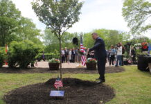 Suffolk’s Supervisors Convene in Hauppauge in 250th Tree Planting