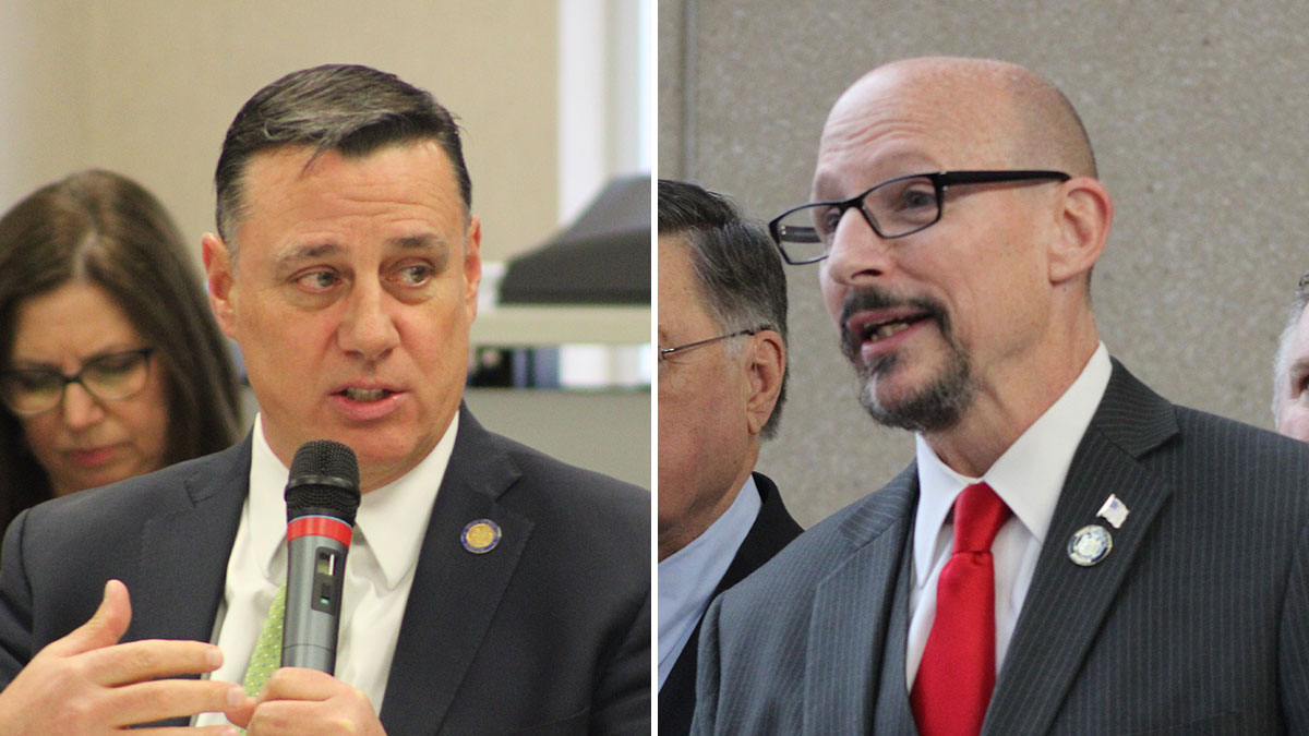 Senators Urge Pause on Manorville BESS Facility